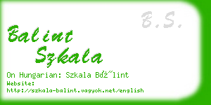 balint szkala business card